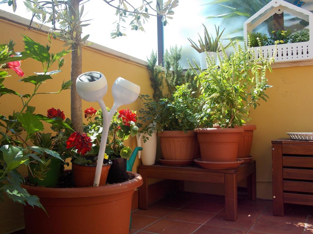 B&B Dei Cavalieri Piza Zewnętrze zdjęcie
