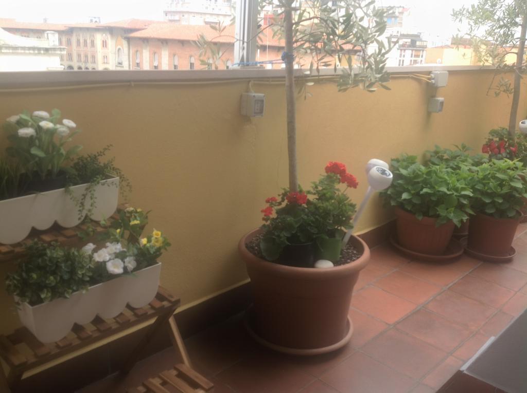 B&B Dei Cavalieri Piza Zewnętrze zdjęcie